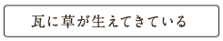 瓦に草が生えてきている